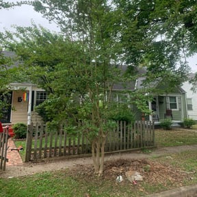 Bush Trimming by Shortys handyman lawn and snow removal reviewed on August 20, 2025