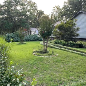 landscape maintenance by Freedom Services reviewed on August 16, 2025