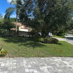 Bush Trimming by GreenScape Solutions LLC reviewed on August 16, 2026