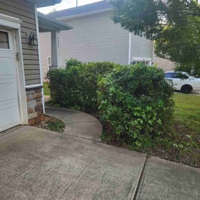 Bush Trimming by Hyksos Lawn Care Solutions, Inc. reviewed on August 19, 2025