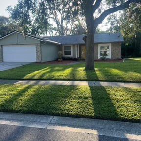 yard service by Carlos Lawn reviewed on August 19, 2025