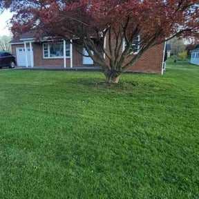 grass cutting by BLC3 LLC / Turf Guys reviewed on October 23, 2023