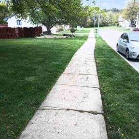 landscape maintenance by TallGrassAllGrass Lawn Service reviewed on December 4, 2025