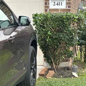 Bush Trimming by Concept cutz reviewed on December 28, 2025