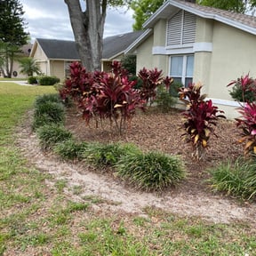 Leaf Removal by Thick Green Lawn Care reviewed on September 21, 2025