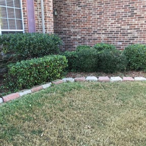 Bush Trimming by Lawnawn, LLC reviewed on August 20, 2025