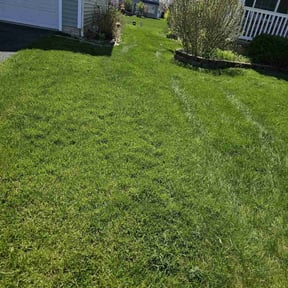 landscaping by Archi's Lawn Care reviewed on August 20, 2025