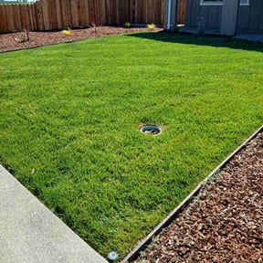 landscape maintenance by 1968 reviewed on August 18, 2025