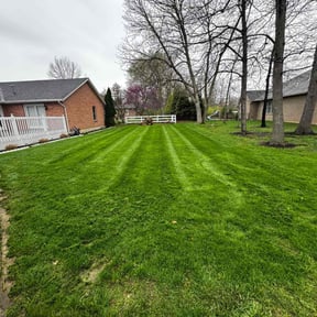 lawn maintenance by RK Lawncare reviewed on March 20, 2024