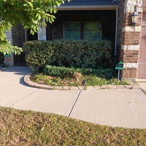 Bush Trimming by Pearl Cleaning LLC reviewed on November 24, 2025