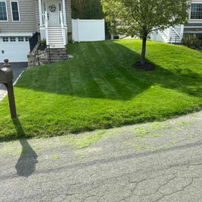 lawn service by Cut N Clean LLC reviewed on April 20, 2024