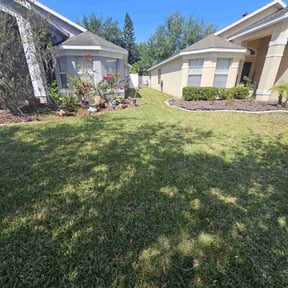 turf care by D &amp; C lawn care reviewed on August 21, 2025