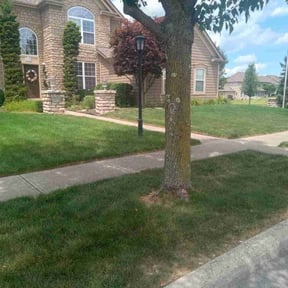 gardening service by Mojica Lawn Care reviewed on November 26, 2025