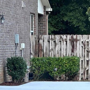 Bush Trimming by S&amp;B Landscaping reviewed on October 19, 2025