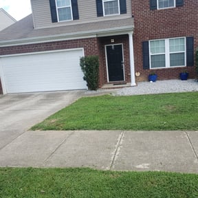 Bush Trimming by Leo's lawncare reviewed on August 15, 2025