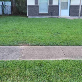 yard maintenance by HoneyCove Lawncare reviewed on August 19, 2025