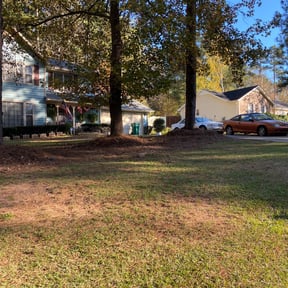 Leaf Removal by BLC3 LLC / Turf Guys reviewed on September 22, 2025