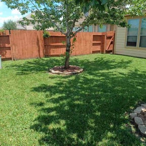 yard maintenance by Precision Lawn Care of VA reviewed on August 15, 2025