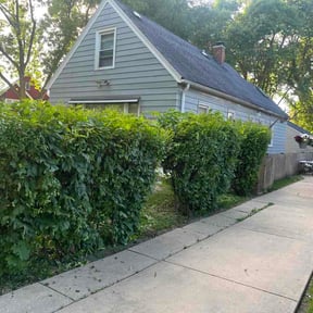 Bush Trimming by O.R Landscaping reviewed on July 2, 2026