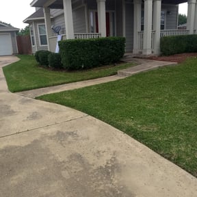 Bush Trimming by Lawnsbylex reviewed on August 21, 2025