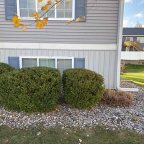 Bush Trimming by D.L.C / Daughtery Lawn Care reviewed on January 1, 2026