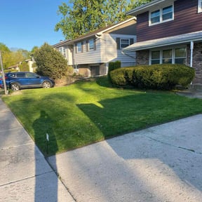 yard service by Dabago Services reviewed on August 19, 2025