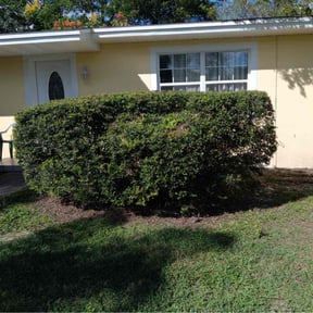 Bush Trimming by Just Keep Mowing reviewed on August 18, 2025