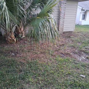 Bush Trimming by Contreras Landscaping &amp; Tree Service reviewed on October 20, 2025