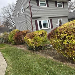 Leaf Removal by Quality Lawns SC reviewed on November 22, 2025