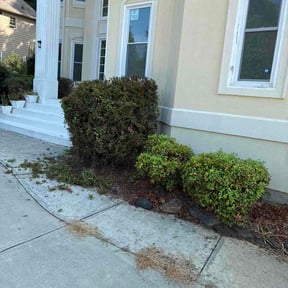 Bush Trimming by A &amp; J Lawn care reviewed on August 31, 2026
