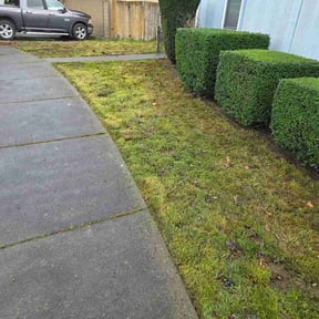 Bush Trimming by Crigler Lawncare reviewed on April 2, 2026
