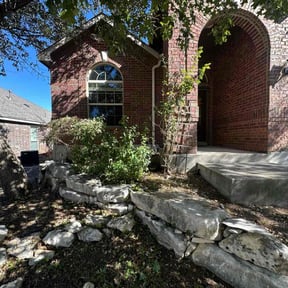 Bush Trimming by Pmv Presents Allure reviewed on November 9, 2025