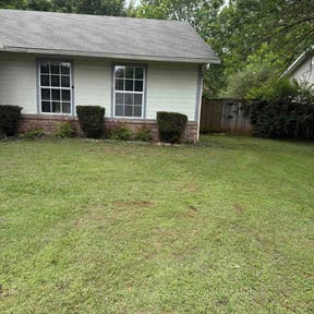 Bush Trimming by Creech Family Services reviewed on May 16, 2026