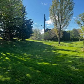 grass cutting by Curb Appeal Lawn and Landscape Services reviewed on July 7, 2025