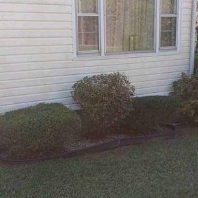 Bush Trimming by A&amp;D lawncare reviewed on July 9, 2021