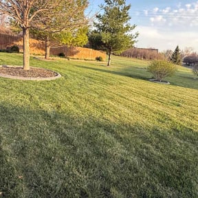 lawn maintenance by Tim's Discount Lawn reviewed on April 21, 2024