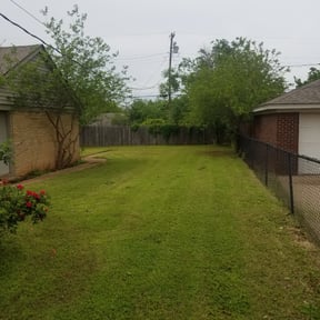 Bush Trimming by Js Lawn Care reviewed on August 21, 2025