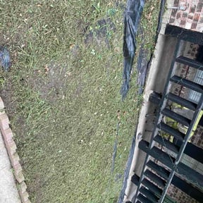 Flower Bed Weeding by Tree service and moving reviewed on June 18, 2026