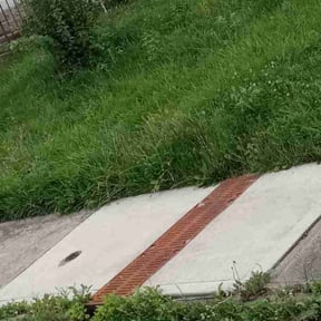 Bush Trimming by Jordan's legacy operations reviewed on August 15, 2025