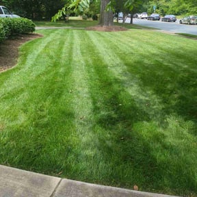 yard maintenance by Forever Green FG LLC reviewed on August 15, 2025