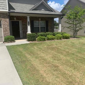 Bush Trimming by Extreme image lawn care reviewed on August 15, 2025