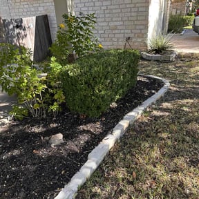 Bush Trimming by NewLineCuts reviewed on November 23, 2025