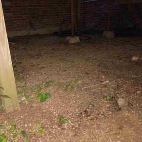 Leaf Removal by UMowNoMow reviewed on June 27, 2026