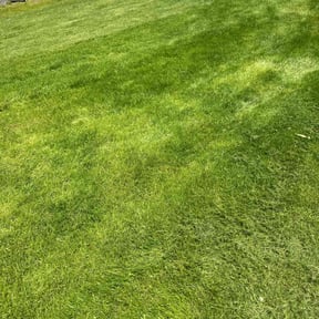 residential landscaping by Post Property Solutions LLC reviewed on August 19, 2025