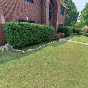 Bush Trimming by Byers Lawn reviewed on August 21, 2025
