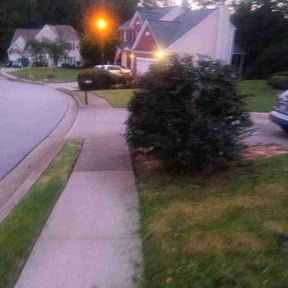Bush Trimming by Chai reviewed on August 20, 2025