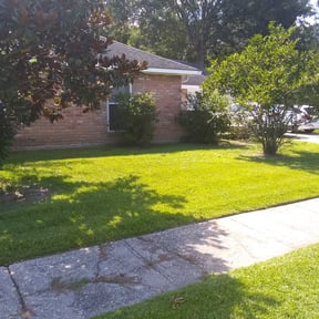 Bush Trimming by Cox and son lawn care reviewed on August 16, 2025