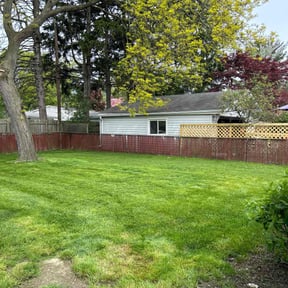 yard care by Johnson lawn services reviewed on August 18, 2025