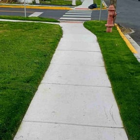 yard maintenance by Mos Landscaping Service reviewed on August 15, 2025