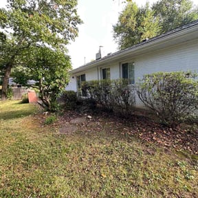 Bush Trimming by FRL Landscaping reviewed on August 20, 2025